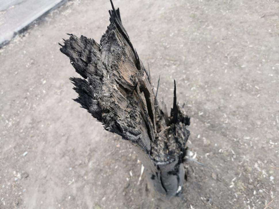 Cristi Popovici, trimisul special Antena 3 în Ucraina: "Ruşii trag cu sisteme de rachete multiple. 161 de civili au murit şi peste 600 de persoane au fost rănite în Nicolaev" 759840