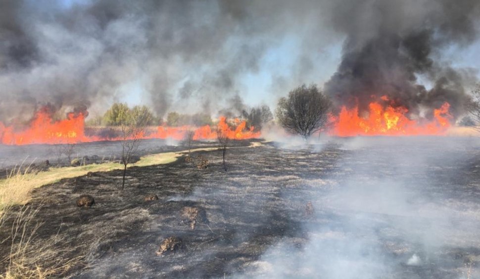 Directorul ANM anunță în ce direcție se va îndrepta norul de fum provocat de incendiul din Delta Văcărești