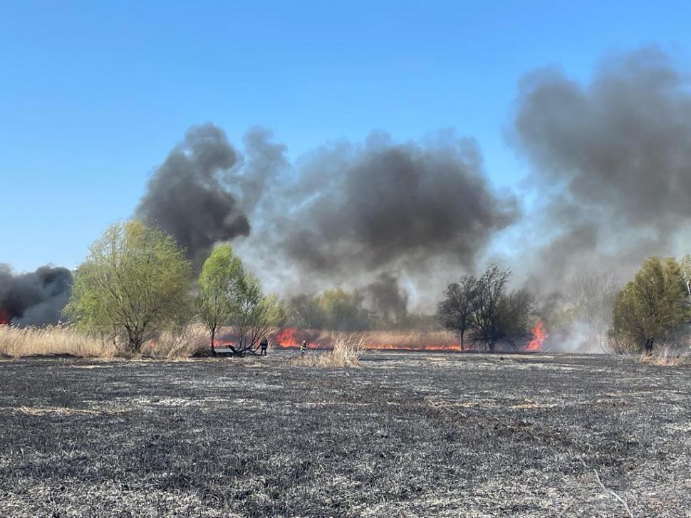 Directorul ANM anunță în ce direcție se va îndrepta norul de fum provocat de incendiul din Delta Văcărești 759994