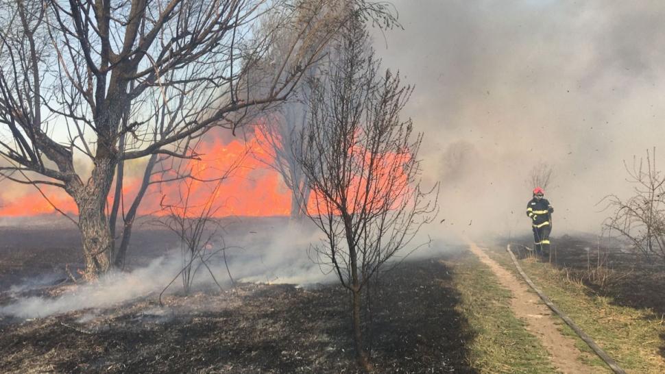 Incendiu puternic în Delta Văcărești. 15.000 de metri pătrați au ars 759988