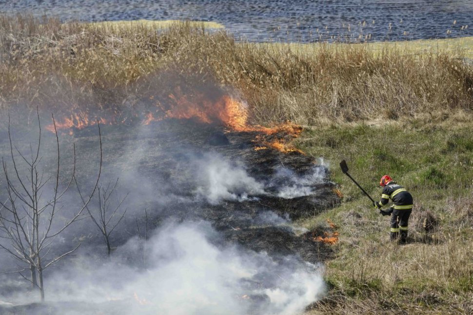 Incendiu puternic în Delta Văcărești. 15.000 de metri pătrați au ars