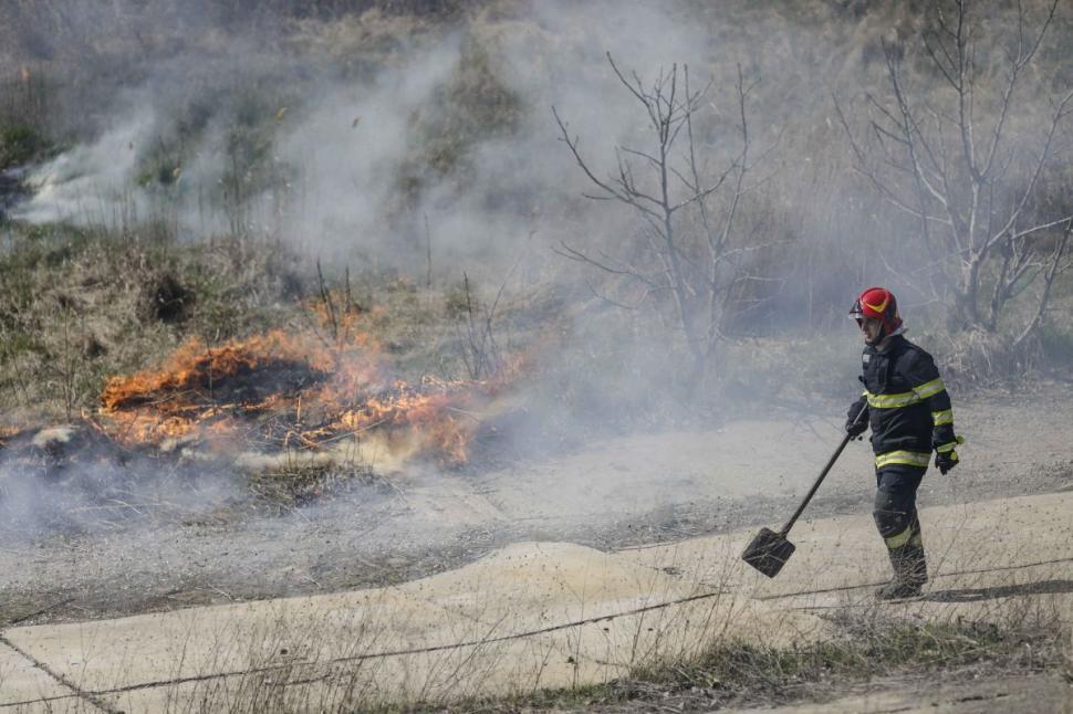 Incendiu puternic în Delta Văcărești. 15.000 de metri pătrați au ars 760021