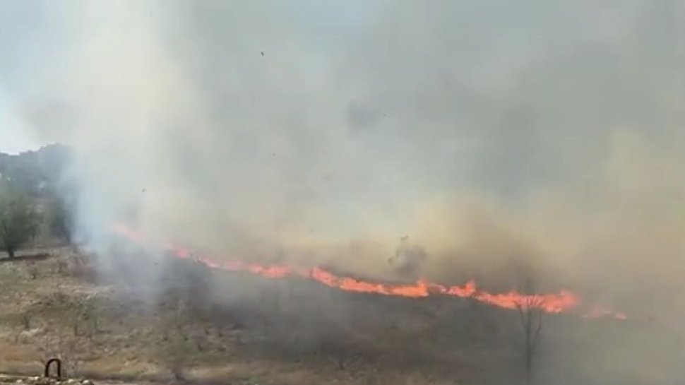 Mesaj RO-Alert după incendiul din Delta Văcăreşti: "Dacă sunteţi în apropiere, evacuaţi zona!"