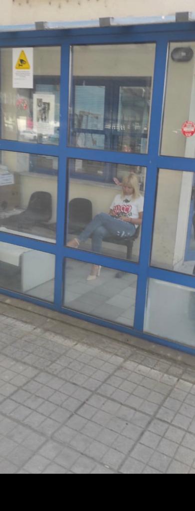 Elena Udrea a fost prinsă în Bulgaria, la frontiera cu Grecia 760659