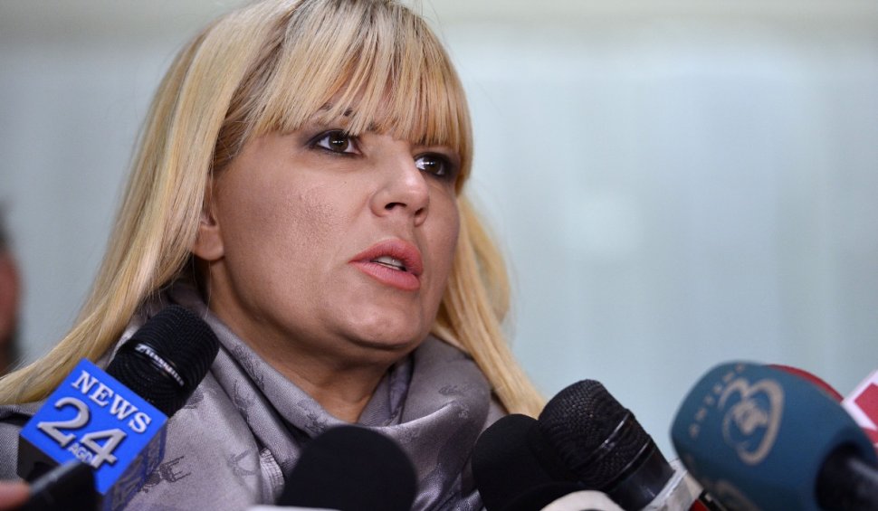 Elena Udrea rămâne cu pedeapsa de 6 ani în dosarul "Gala Bute" şi va merge la închisoare
