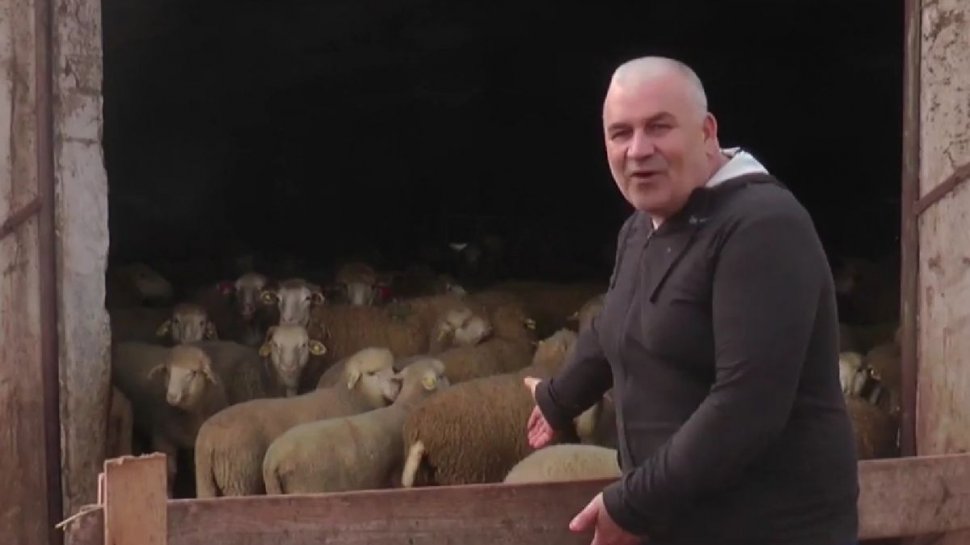 Focar de scrapie la o fermă cu 2.000 de oi din Galaţi. Fermierul face acuzaţii grave