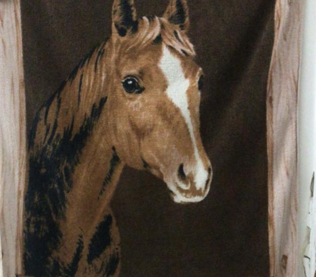 Misterul prosopului dintr-un cămin universitar din Iași care i-a pus pe drumuri pe poliţişti. Ce au descoperit agenţii 761546