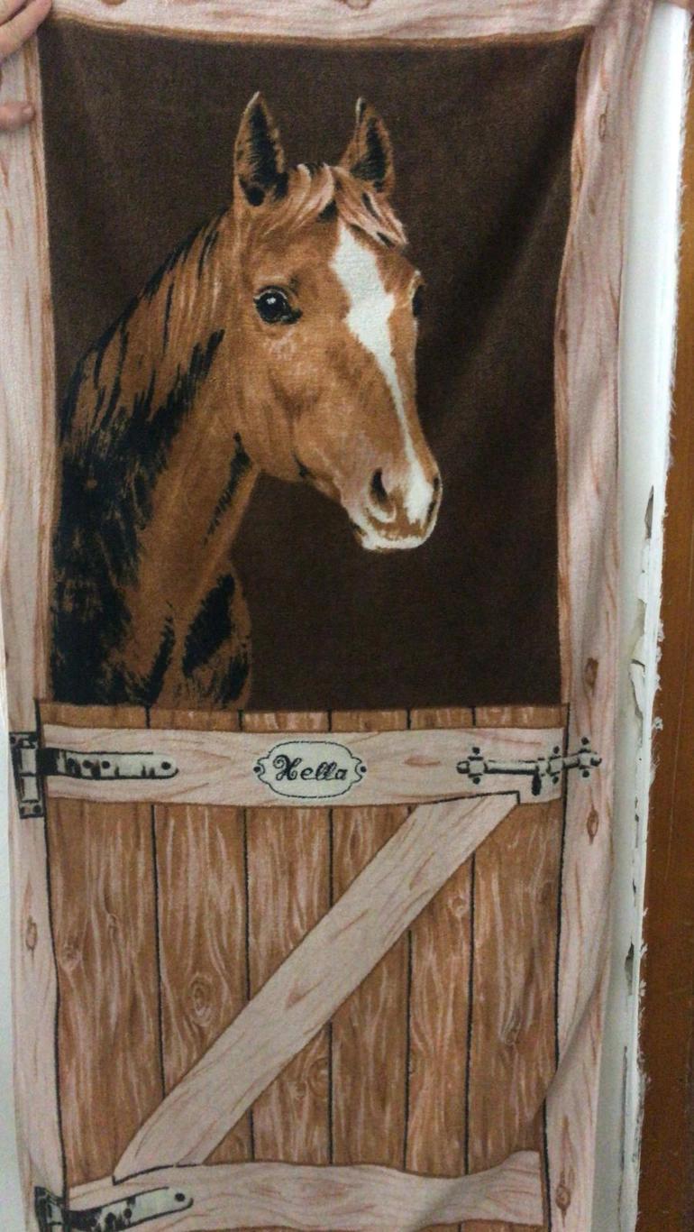 Misterul prosopului dintr-un cămin universitar din Iași care i-a pus pe drumuri pe poliţişti. Ce au descoperit agenţii 761548