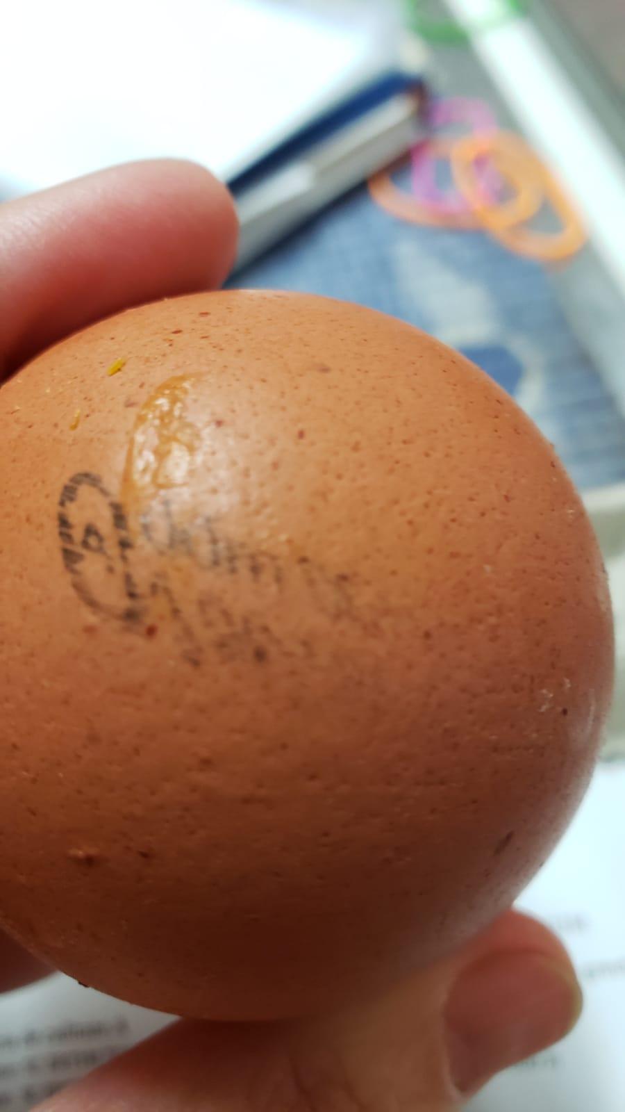 Ouă aproape expirate, sparte sau depozitate pe rafturi ruginite. ANPC a dat amenzi de 380.000 lei 761647