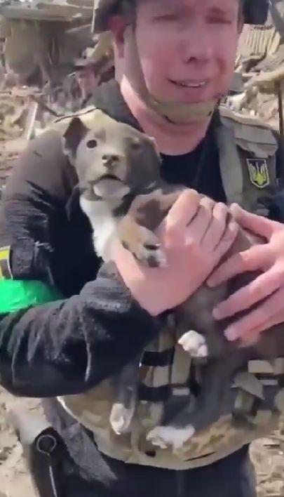 A supraviețuit miraculos după ce a fost îngropat în pământ de bombele rușilor | Imagini cu pompierii care scot la lumină un cățeluș, la Mihailovka 761813