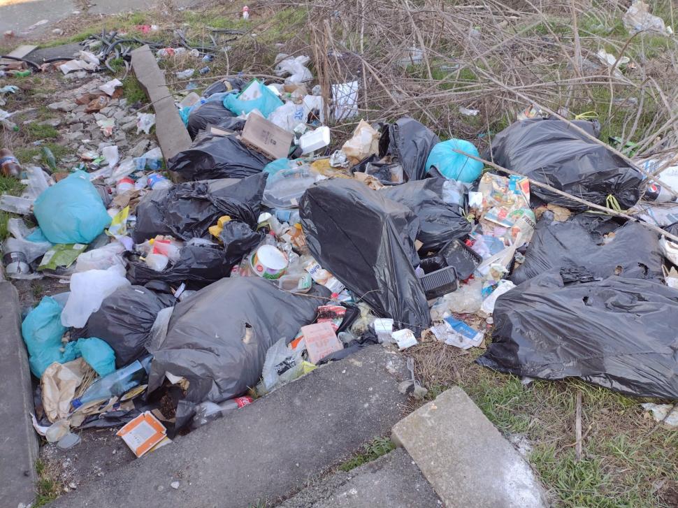 CFR a demarat o campanie de curățenie pe calea ferată. Mii de feroviari strâng gunoaie și îngrijesc spațiile verzi 762072