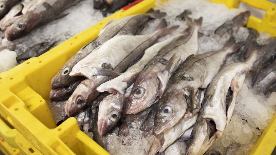 InfoCons: ”Nu cumpărați niciodată astfel de pești!” Semnele la care trebuie să fim atenți