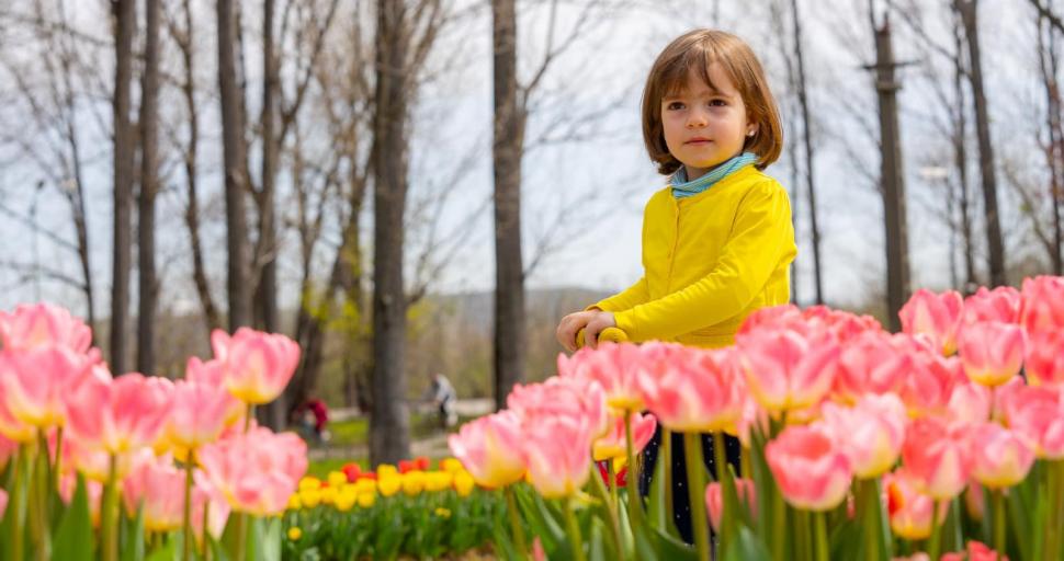 Ministrul Culturii, la Simfonia Lalelelor: "Același minunat eveniment al începutului de primăvară" 762304