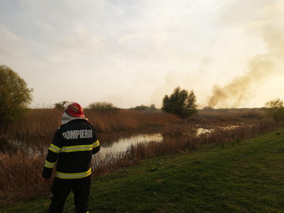 Incendiu puternic în Delta Dunării. Arde o suprafață mare de stuf, în apropierea caselor 762398