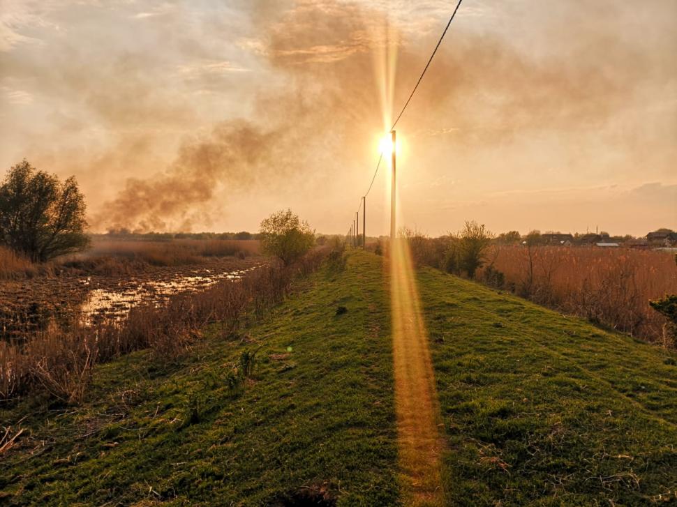 Incendiu puternic în Delta Dunării. Arde o suprafață mare de stuf, în apropierea caselor 762399