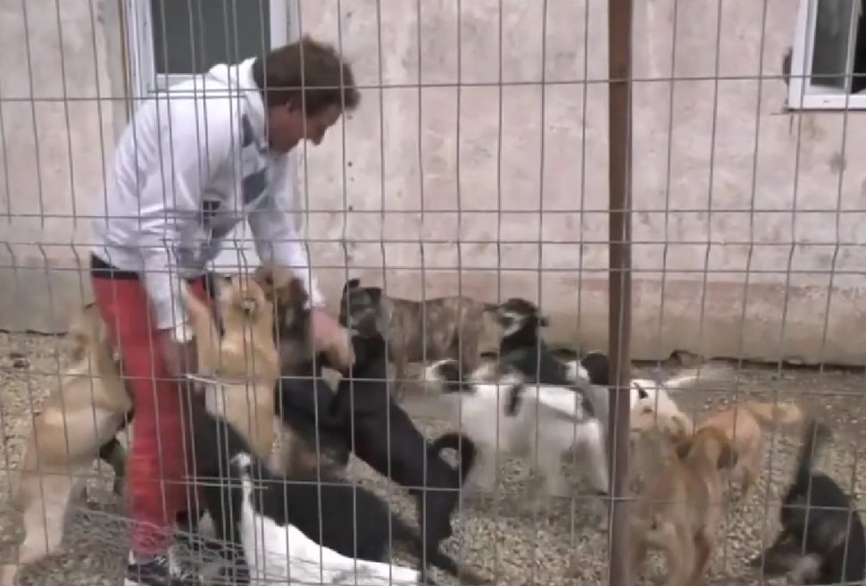 Povestea soţilor din Oradea care au adoptat sute de animale fără stăpân