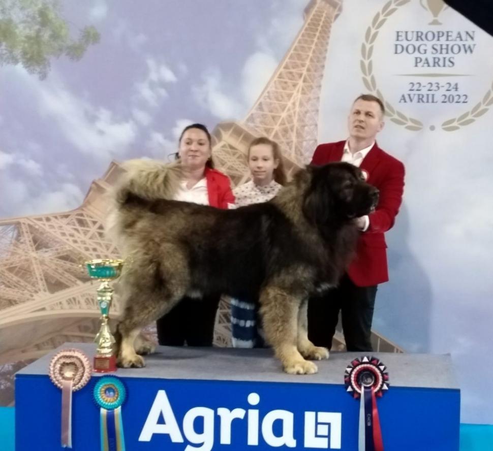 Dracula, câinele ciobănesc caucazian, crescut de un pompier ISU, care a obținut titlul de Campion European la Paris 764163