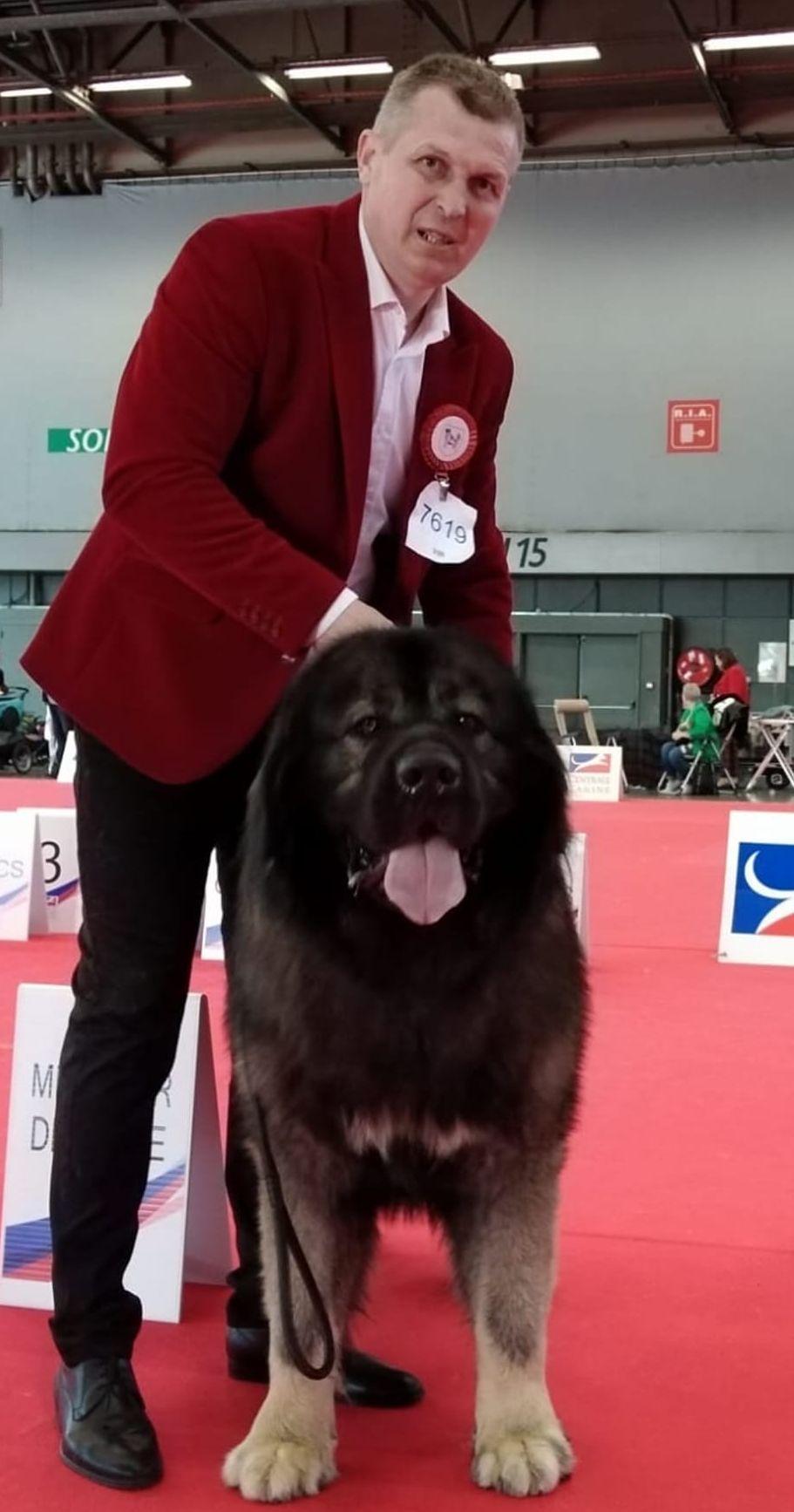 Dracula, câinele ciobănesc caucazian, crescut de un pompier ISU, care a obținut titlul de Campion European la Paris 764166