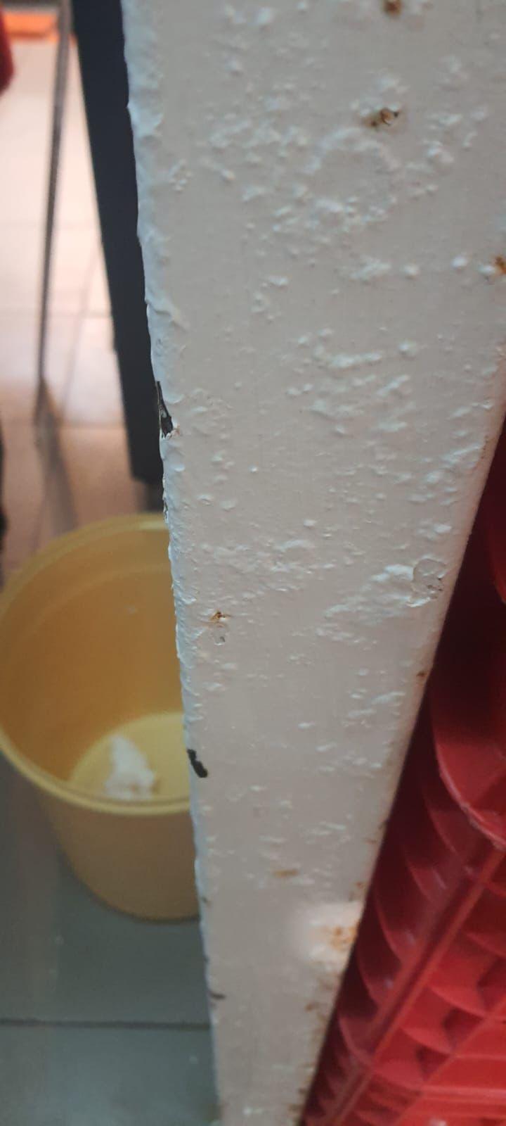 Nereguli grave găsite de ANPC la 38 din 39 comercianți din Hala Obor. Inspectorii cer închiderea definitivă a două unități 764434