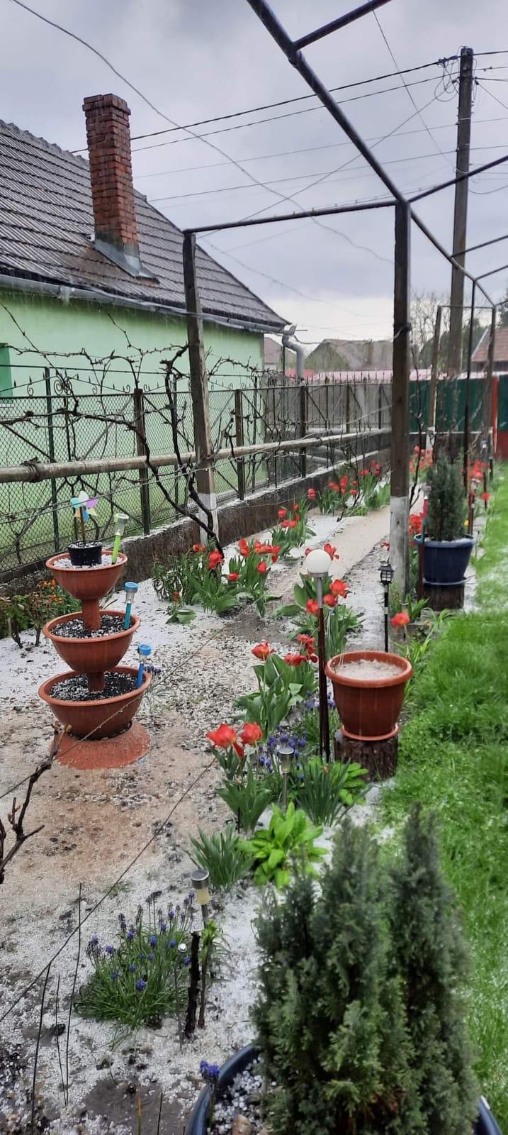 Fenomene meteo extreme în întreaga ţară: Ploi torenţiale, grindină, ninsoare şi frig | Care sunt zonele cele mai afectate 764618