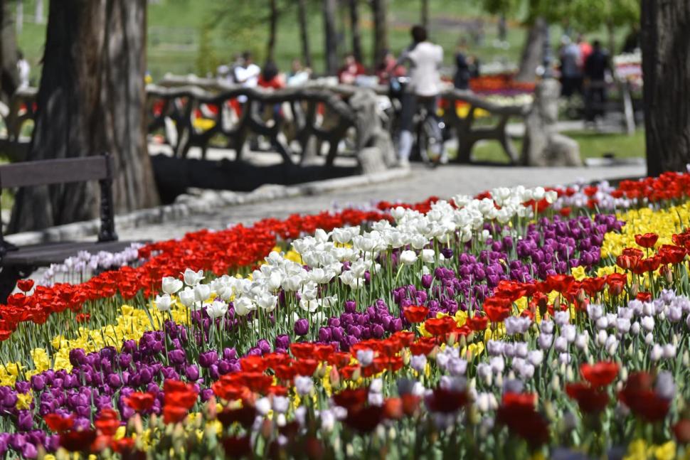 Oraşul din România aflat pe primul loc în topul destinațiilor europene de Paște: "O veste extraordinară" 764570