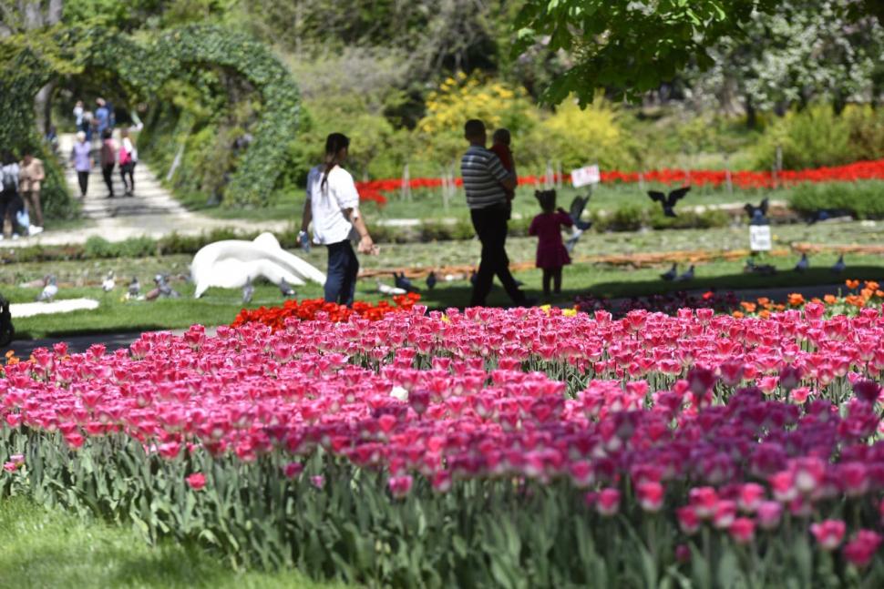 Oraşul din România aflat pe primul loc în topul destinațiilor europene de Paște: "O veste extraordinară" 764575