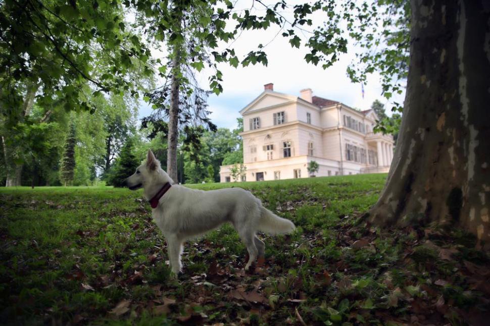 Domeniul Regal Săvârşin, deschis din 1 mai. Care sunt condițiile de vizitare 764708