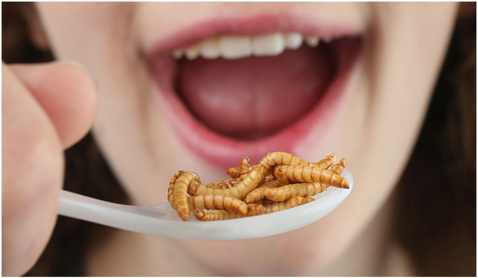 Mâncarea vitorului: Burgeri de insecte, tocăniţă de lăcuste, greieri confiaţi. Beneficiile unor astfel de alimente
