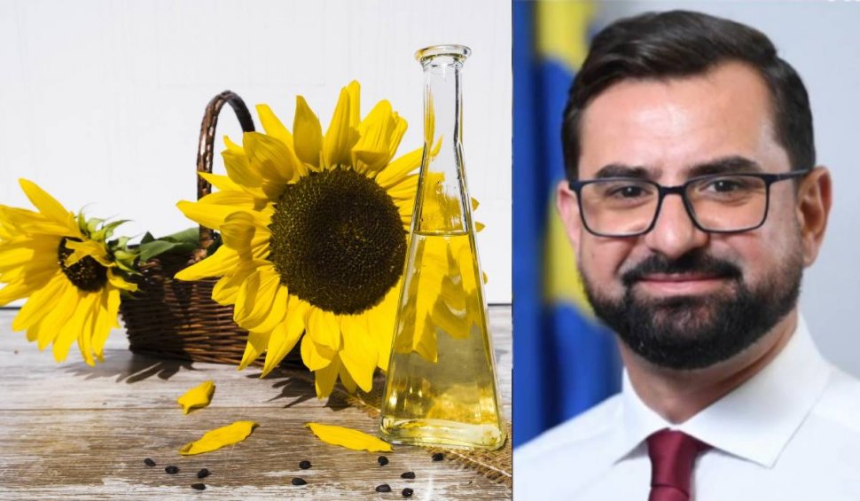 Ar putea România să se confrunte cu o criză a uleiului de floarea soarelui? Răspunsul ministrului Agriculturii | Germania și Marea Britanie au început raționalizarea
