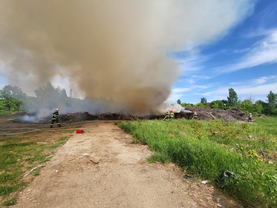 Incendiu violent de vegetație,  în Parcul Grozăvești din Capitală! A fost transmis un mesaj Ro-Alert 766556