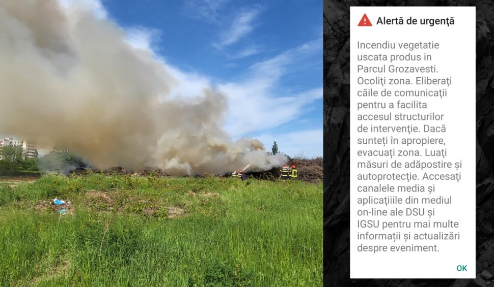 Incendiu violent de vegetație,  în Parcul Grozăvești din Capitală! A fost transmis un mesaj Ro-Alert