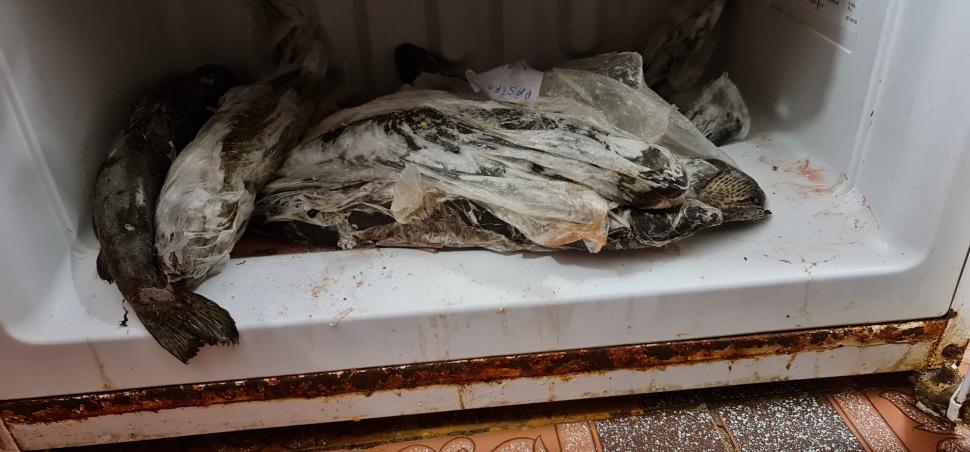 Excremente de șoareci, mâncare stricată și mucegăită, într-un restaurant din Galați. ANPC a dat o amendă usturătoare și a închis localul 767234