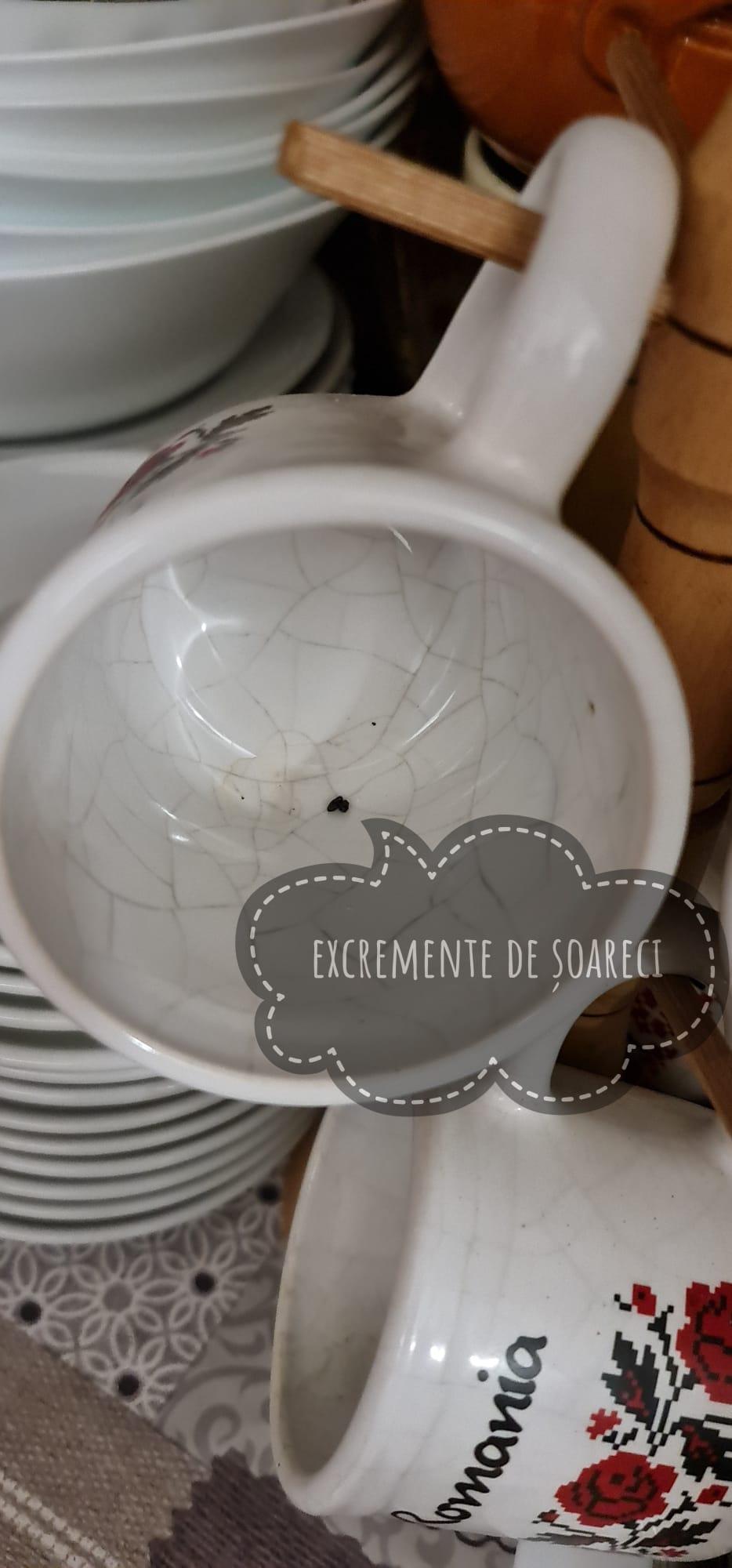 Excremente de șoareci, mâncare stricată și mucegăită, într-un restaurant din Galați. ANPC a dat o amendă usturătoare și a închis localul 767236