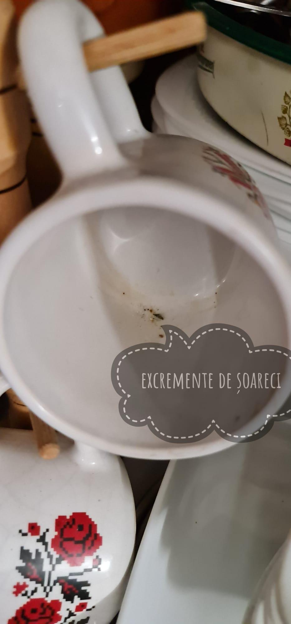 Excremente de șoareci, mâncare stricată și mucegăită, într-un restaurant din Galați. ANPC a dat o amendă usturătoare și a închis localul 767238