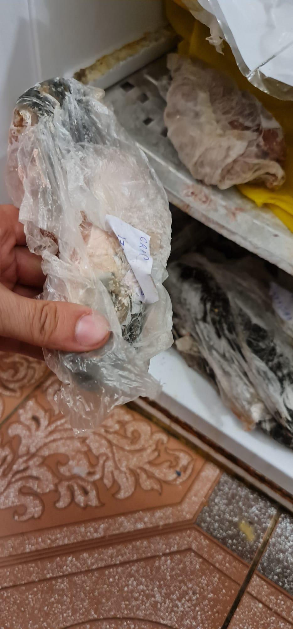 Excremente de șoareci, mâncare stricată și mucegăită, într-un restaurant din Galați. ANPC a dat o amendă usturătoare și a închis localul 767239