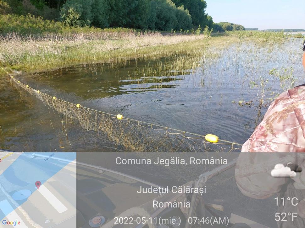 Razie pe Dunăre: Garda de Mediu a găsit sute de kilograme de peşte în plasele amplasate ilegal 767483