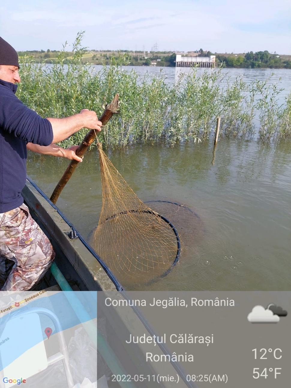 Razie pe Dunăre: Garda de Mediu a găsit sute de kilograme de peşte în plasele amplasate ilegal 767484