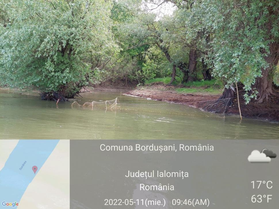 Razie pe Dunăre: Garda de Mediu a găsit sute de kilograme de peşte în plasele amplasate ilegal 767485