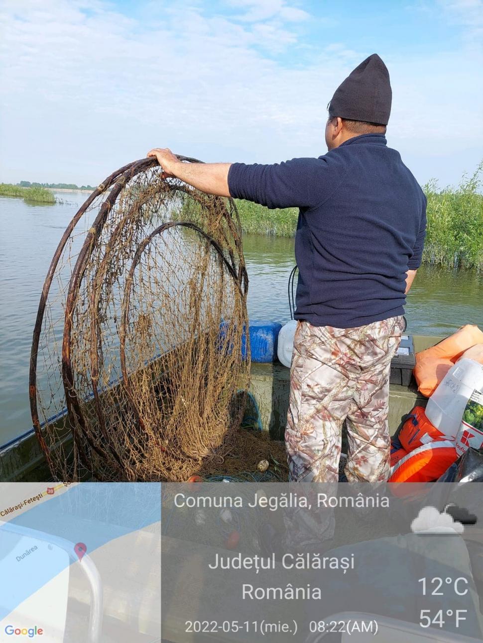 Razie pe Dunăre: Garda de Mediu a găsit sute de kilograme de peşte în plasele amplasate ilegal 767486