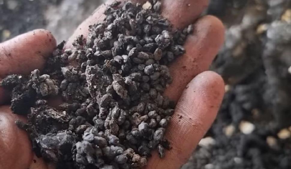 Armata lui Putin a distrus la Harkov banca genetică unică în lume pe care Hitler a cruțat-o 768315