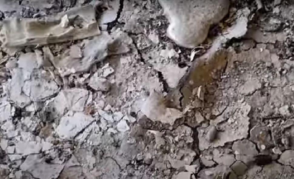 Armata lui Putin a distrus la Harkov banca genetică unică în lume pe care Hitler a cruțat-o 768317