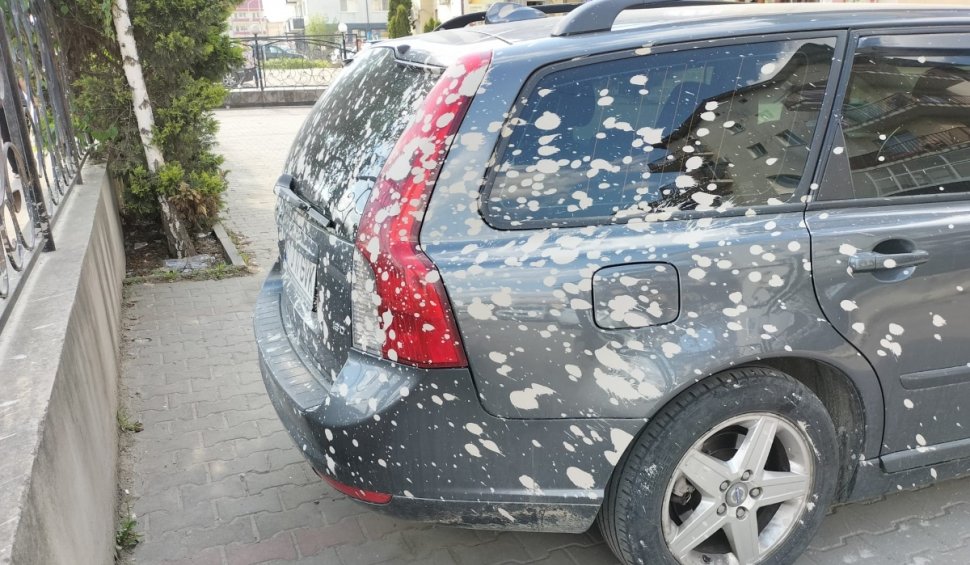 Păţania unui şofer din Cluj. Şi-a lăsat maşina în parcare și a găsit-o stropită cu ciment: "O lucrat Dorel de Florești”
