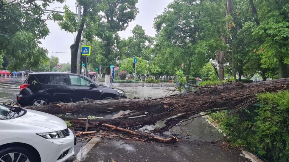 Ploaia torențială din București a adus inundații pe bulevardele mari și copaci căzuți 768424