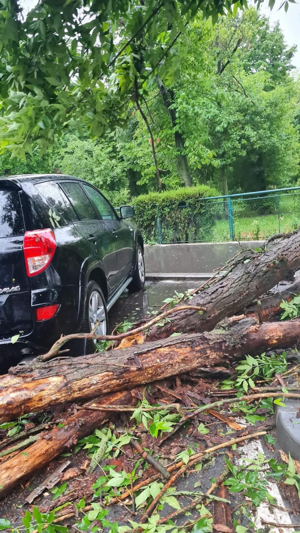 Ploaia torențială din București a adus inundații pe bulevardele mari și copaci căzuți 768427