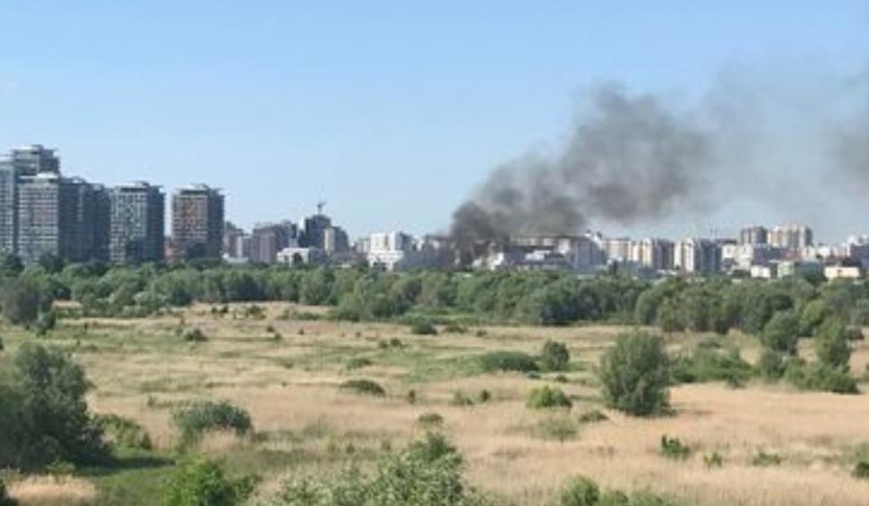 Incendiu puternic în Parcul Natural Văcăreşti. Pompierii acționează cu 4 autospeciale de stingere