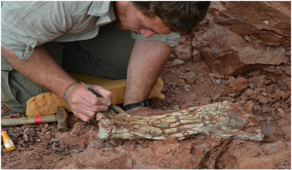Oamenii de știință au descoperit rămășițele unei creaturi preistorice înfricoșătoare. Cum arăta ”Dragonul morții”