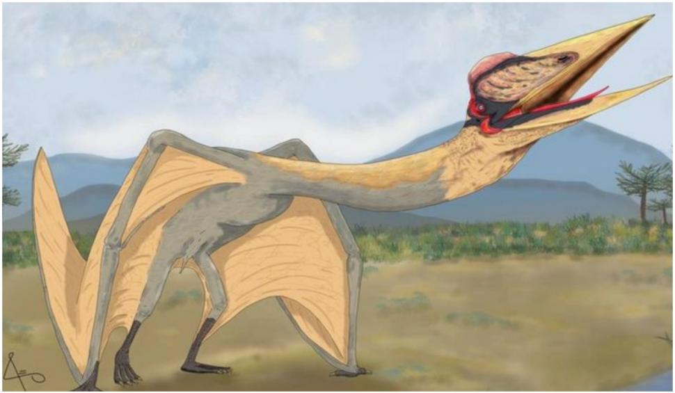 Oamenii de știință au descoperit rămășițele unei creaturi preistorice înfricoșătoare. Cum arăta ”Dragonul morții” 769963