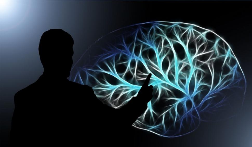 Prof. dr. Vlad Ciurea: "Şi creierul se atrofiază. Vă închipuiţi?". Cum antrenăm acest organ 770601