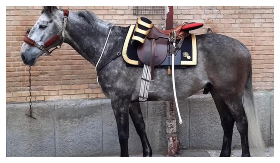 Ce cadou i-a trimis Macron reginei Elisabeta a II-a, pentru a marca Jubileul de Platină 771349