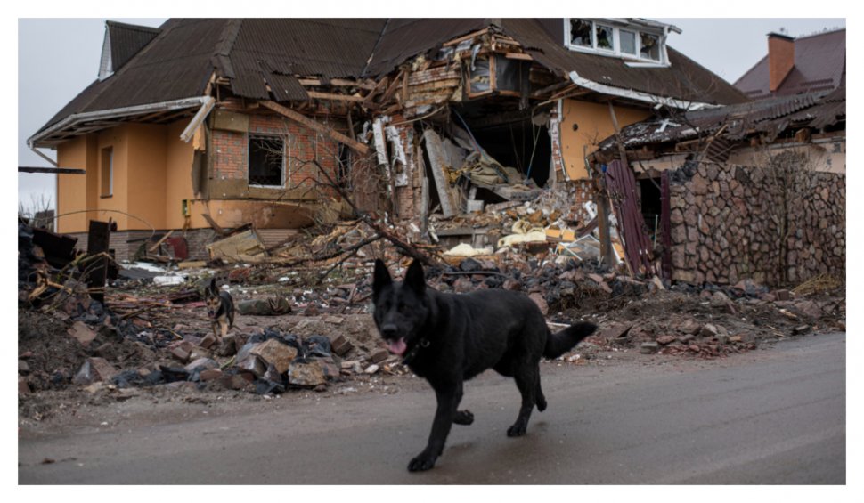 Soldații ruși, obligați să mănânce câini în Ucraina: ”Nu e mâncare”